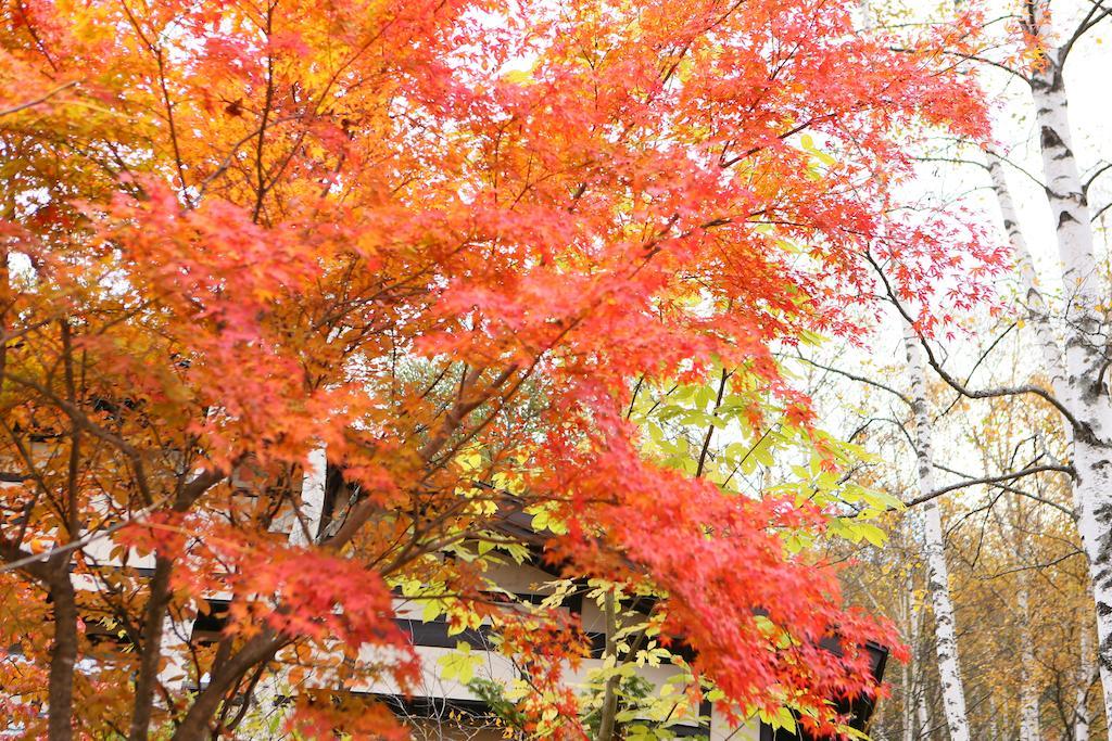 Konashi No Yu Sasaya Hotel Macumoto Kültér fotó